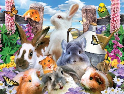 SunsOut 500 - Howard Robinson - Backyard Friends