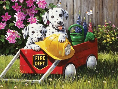 SunsOut 500 - Kevin Walsh - Fire Waggin'