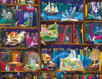 SunsOut 1000 - Alixandra Mullins - Library Adventures in Reading
