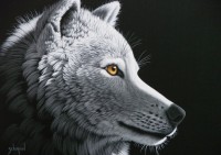 schim-schimmel-wolf-light-jigsaw-puzzle-1000-pieces.59781-1.fs.jpg