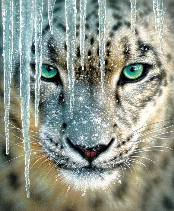 collin-bogle-blue-ice-jigsaw-puzzle-1000-pieces_63923-1_fs.jpg