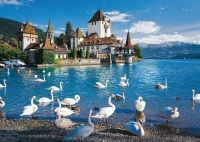 pol_pl_PQ-Puzzle-1000-el-Stado-labedzi-nad-jeziorem-5434_2.jpg
