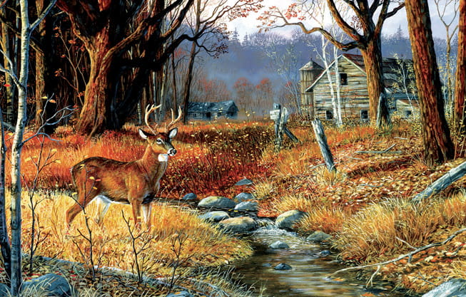 terry-doughty-forgotten-valley-jigsaw-puzzle-1000-pieces_64353-1_fs.jpg