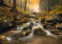 pol_pl_PQ-Puzzle-1000-el-STEFAN-HEFELE-Zjawiskowy-strumien-3804_1.jpg