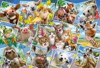 pol_pl_Puzzle-200-el-Zwierzatka-robia-selfie-4635_1.jpg