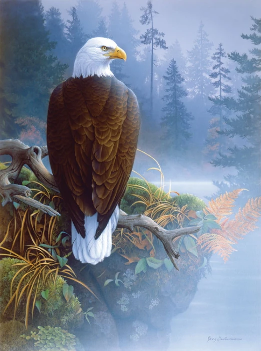 jerry-gadamus-eagle-in-the-mist-jigsaw-puzzle-1000-pieces_64146-1_fs.jpg