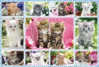 pol_pl_Puzzle-100-el-Kocieta-2796_3.jpg