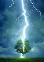 lightning-striking-a-tree-jigsaw-puzzle-1000-pieces.41897-1.fs.jpg
