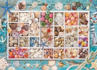 seashell-collection-jigsaw-puzzle-1000-pieces.81868-1.fs.jpg