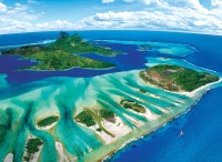save-the-planet-collection-coral-reef-jigsaw-puzzle-1000-pieces.81870-1.fs.jpg