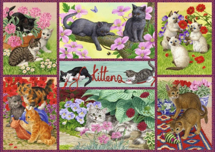 playful-kittens-jigsaw-puzzle-500-pieces.76460-1.fs.jpg