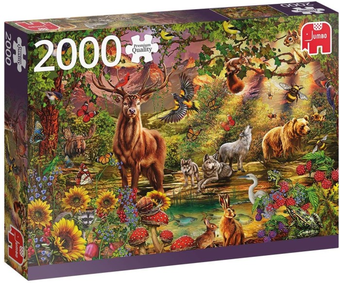 magic-forest-at-sunset-jigsaw-puzzle-2000-pieces.82070-1.fs.jpg