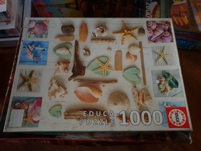 Educa 1000 - Howard Shooter Studios, Seashells Collage (układane)