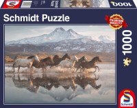 58376_packshot.jpg
