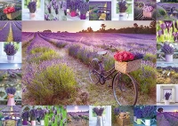 59634_assaf_frank_der_duft_des_lavendels_schmidt_puzzle_1000_teile_motiv.jpg
