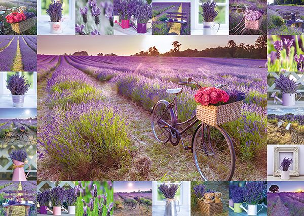 59634_assaf_frank_der_duft_des_lavendels_schmidt_puzzle_1000_teile_motiv.jpg