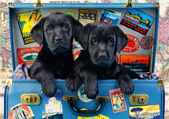 bluebird-puzzle-travel-labs-jigsaw-puzzle-1000-pieces.81122-1.fs.jpg