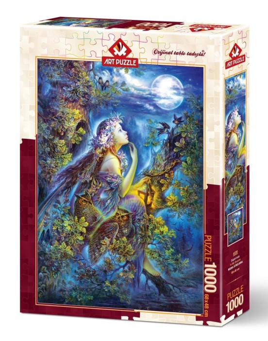 art-puzzle-my-dreams-jigsaw-puzzle-1000-pieces_73529-2_fs.jpg