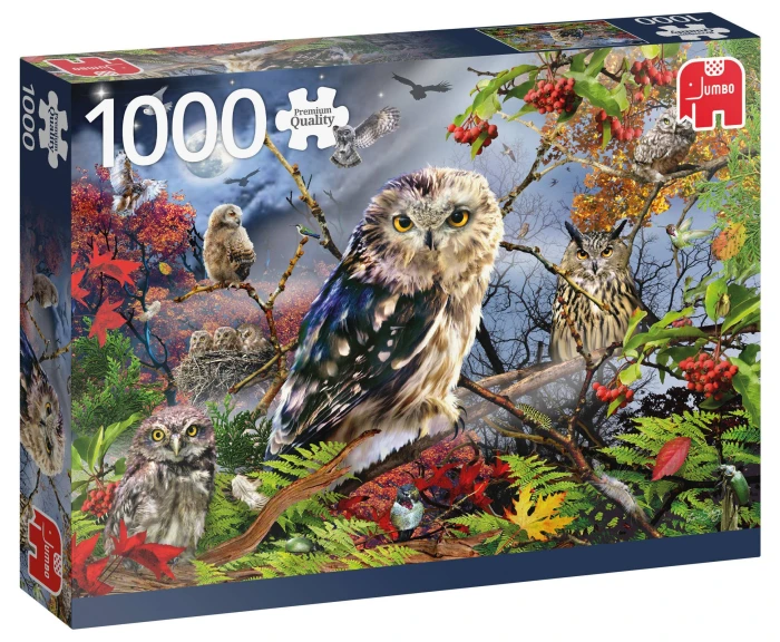 pol_pl_Puzzle-1000-el-PC-Sowy-w-blasku-ksiezyca-6545_1.jpg