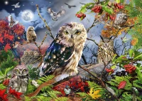 pol_pl_Puzzle-1000-el-PC-Sowy-w-blasku-ksiezyca-6545_2.jpg