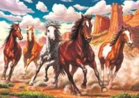 art-puzzle-running-wild-in-the-valley-jigsaw-puzzle-1000-pieces_73533-1_fs.jpg
