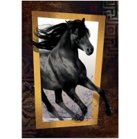 art-puzzle-black-horse-jigsaw-puzzle-1000-pieces_63047-1_fs.jpg