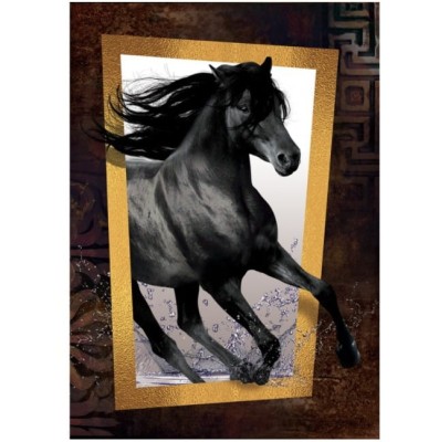 Art Puzzle 1000 - Black Horse