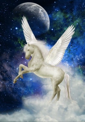 Grafika 1000 - Pegasus