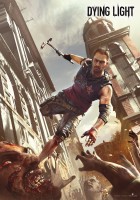 DYING_LIGHT(1)_PUZZ_POSTER.jpg