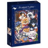 Bluebird Puzzle 1000, Kittens in Closet (2).jpg
