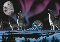 art-puzzle-song-of-the-universe-jigsaw-puzzle-1000-pieces.81822-1.fs.jpg