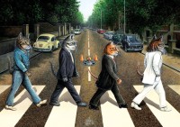 art-puzzle-cat-road-jigsaw-puzzle-1000-pieces.81832-1.fs.jpg