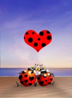 francois-ruyer-love-jigsaw-puzzle-2000-pieces.54637-1.fs.jpg