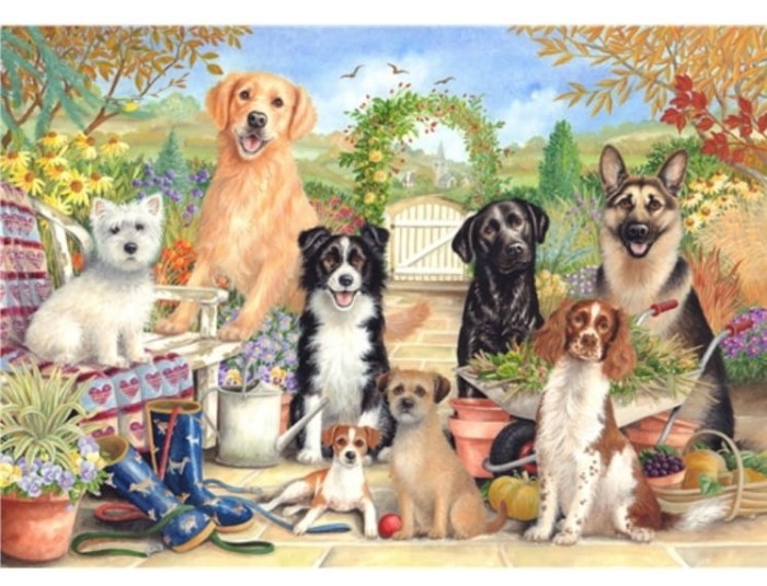 otter-house-puzzle-waiting-for-walkies-jigsaw-puzzle-500-pieces.83043-1.fs.jpg