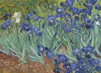 grafika-kids-vincent-van-gogh-1889-jigsaw-puzzle-300-pieces.49440-1.fs.jpg