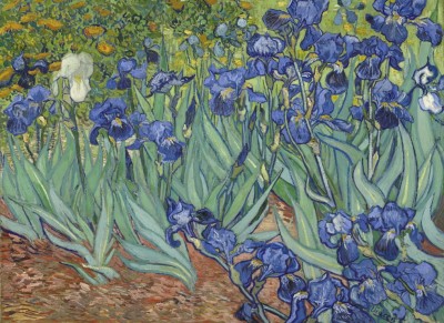 Grafika Kids 300 - Vincent van Gogh, 1889