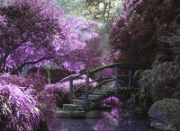 grafika-kids-zen-bridge-jigsaw-puzzle-300-pieces.54857-1.fs.jpg