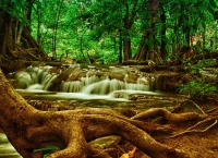 grafika-kids-waterfall-in-forest-jigsaw-puzzle-300-pieces.54769-1.fs.jpg