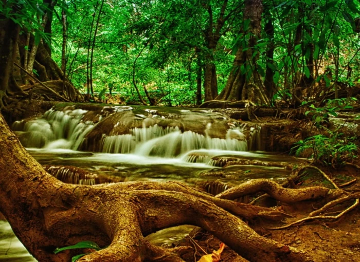 grafika-kids-waterfall-in-forest-jigsaw-puzzle-300-pieces.54769-1.fs.jpg