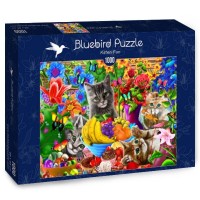 Bluebird Puzzle 1000, Kitten Fun (2).jpg