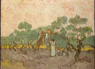 Grafika Kids  300 - Van Gogh: Women Picking Olives,1889