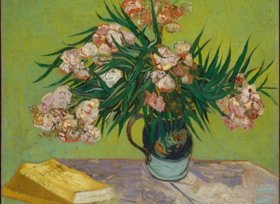 Grafika Kids  300 - Van Gogh: Oleanders,1888