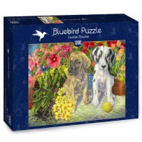 bluebird-puzzle-double-trouble-jigsaw-puzzle-1000-pieces_64568-2_fs.jpg
