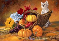 bluebird-puzzle-thankful-jigsaw-puzzle-1000-pieces_64569-1_fs.jpg