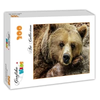 grafika-kids-bear-jigsaw-puzzle-300-pieces.54230-2.fs.jpg