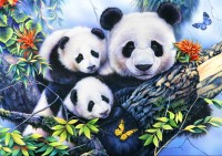 Bluebird Puzzle 1000, Panda Family.jpg