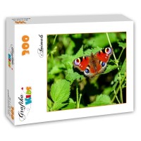 grafika-kids-butterfly-jigsaw-puzzle-300-pieces.55873-2.fs.jpg