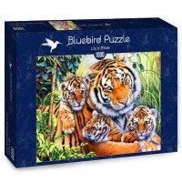 bluebird-puzzle-lilys-pride-jigsaw-puzzle-1000-pieces_64617-2_fs.jpg