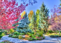 colorful-forest-colorado-usa-jigsaw-puzzle-1500-pieces.63483-1.fs.jpg
