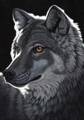 Grafika 1500 - Schim Schimmel - Night Wolf